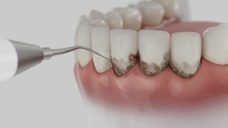 Reliable Dental contractor in Chagrin Falls, OH by Dentist Open Now